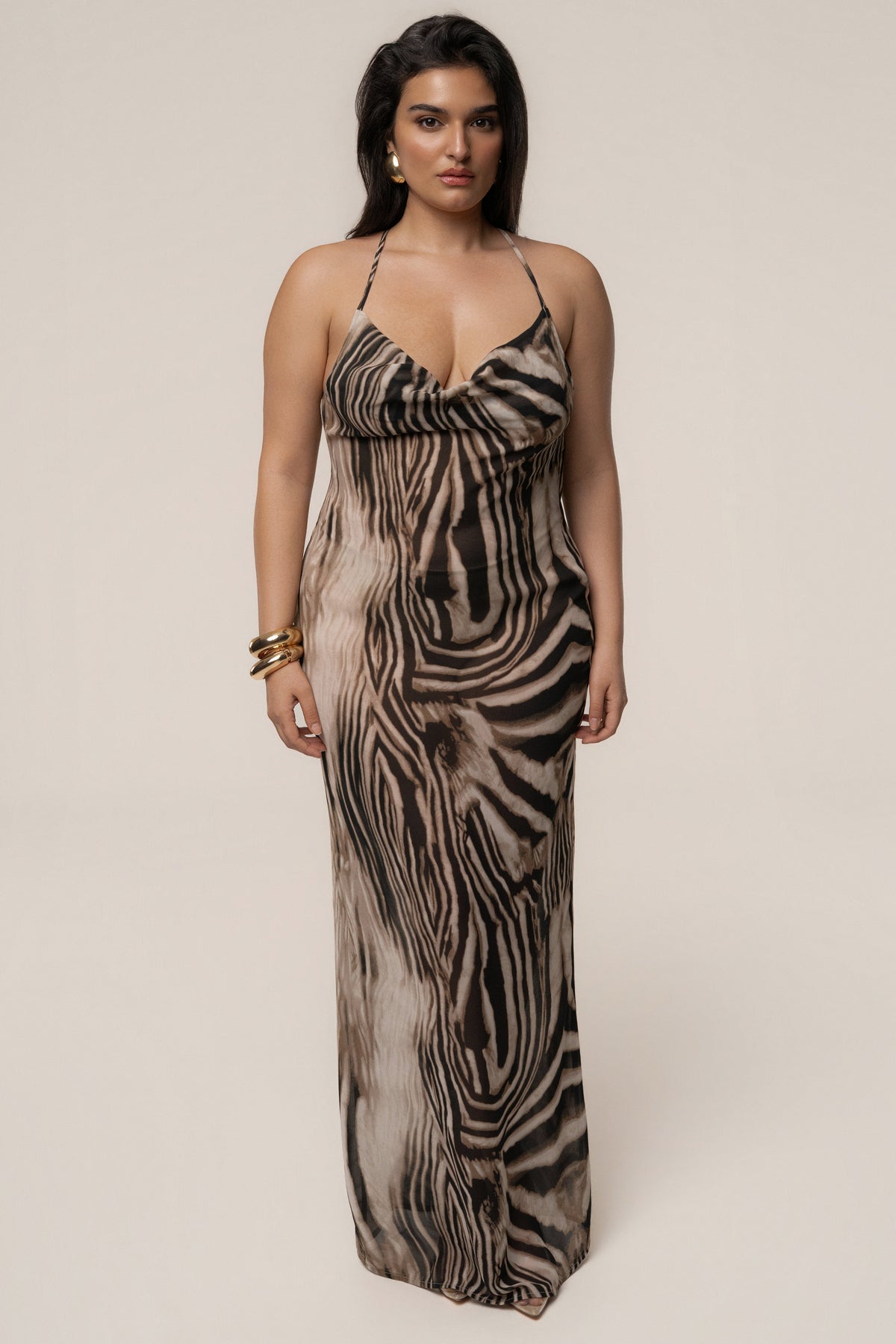 Brown Zebra Print Infinite Journey Maxi Dress